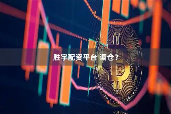 胜宇配资平台 调仓？