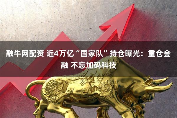 融牛网配资 近4万亿“国家队”持仓曝光：重仓金融 不忘加码科技