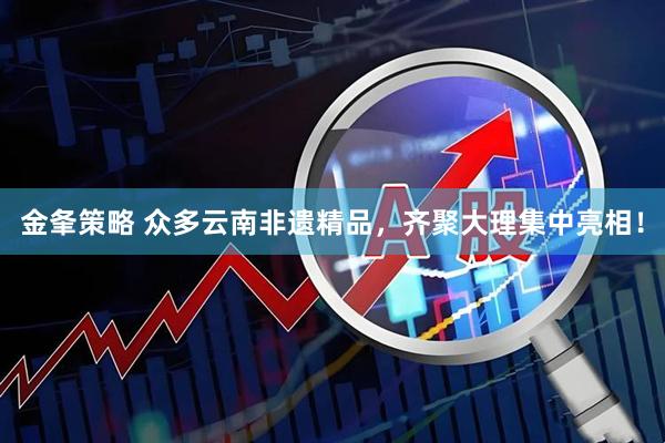 金夆策略 众多云南非遗精品，齐聚大理集中亮相！