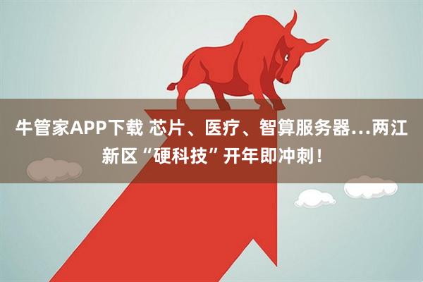 牛管家APP下载 芯片、医疗、智算服务器…两江新区“硬科技”开年即冲刺！